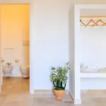 Masseria Il Vignale Lantgård Ostuni